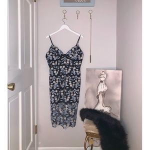 Bandot Blue & Black Overlay Dress